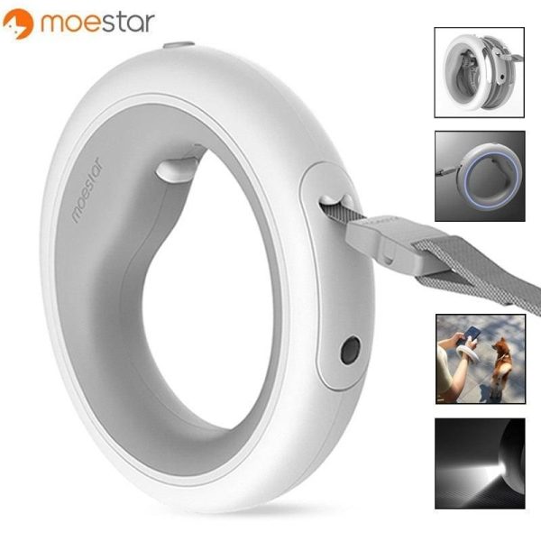 laisse rétractable flexible pour chien ou chat