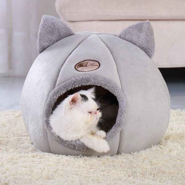 maison à réchauffer pour chat et petit chien