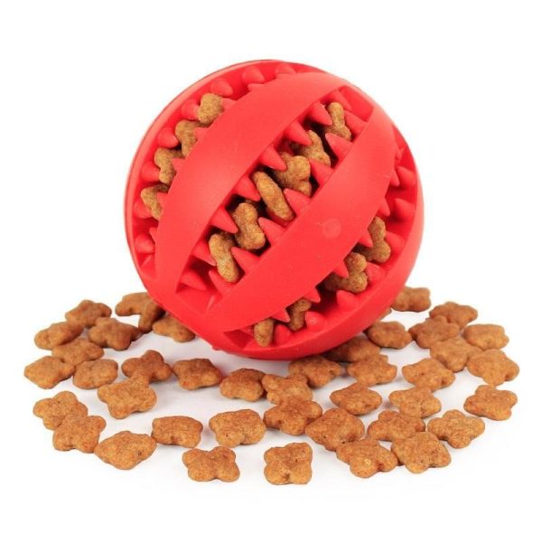 jouet interactif doux pour animaux
