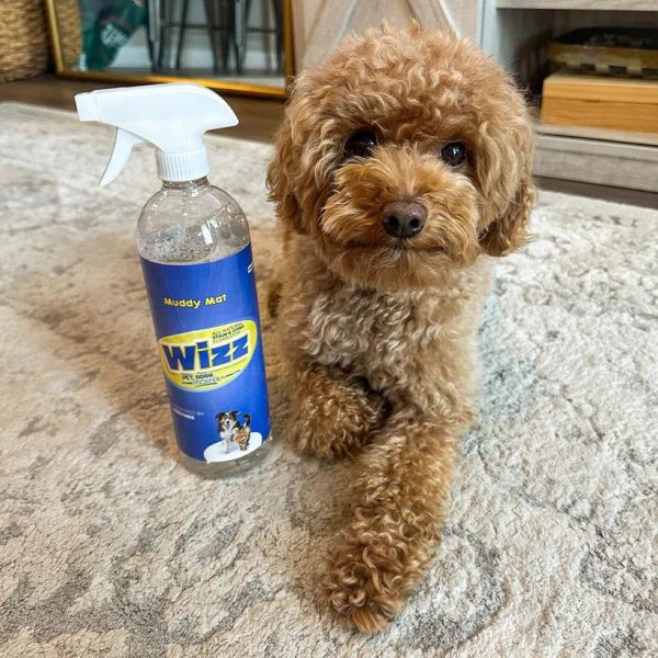 Wizz désodorisant naturel pour animaux