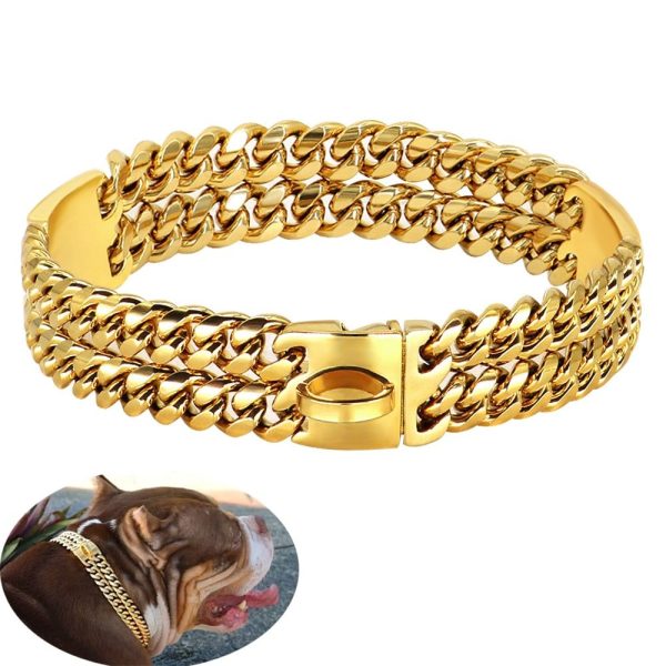 collier pour chien en métal doré durable