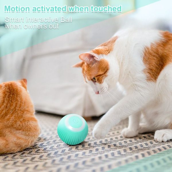balle interactive roulante automatique pour chat