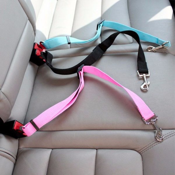 ceinture de sécurité ajustable pour chien