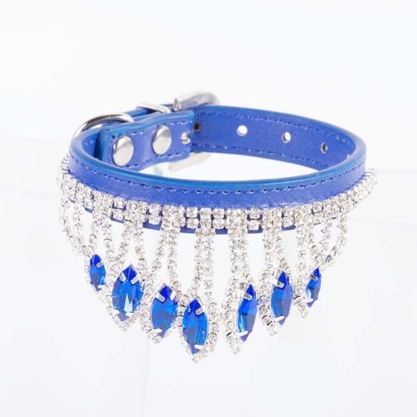 collier sophistiqué pour petits compagnons