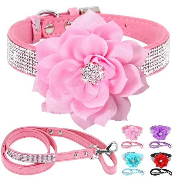 collier pailleté pour chien