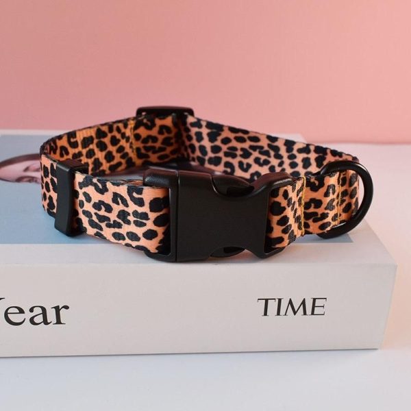 laisse et collier léopard pour chien