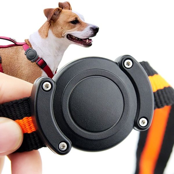 collier pour chien anti-rouille avec Apple AirTag