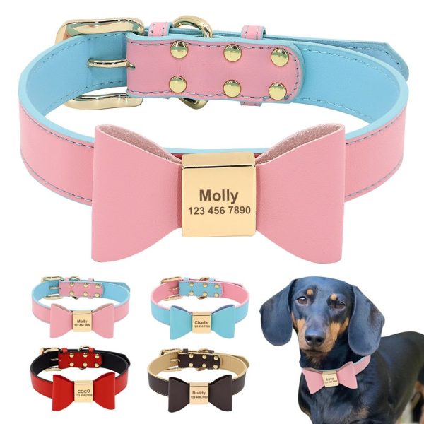 collier en cuir personnalisé pour animaux