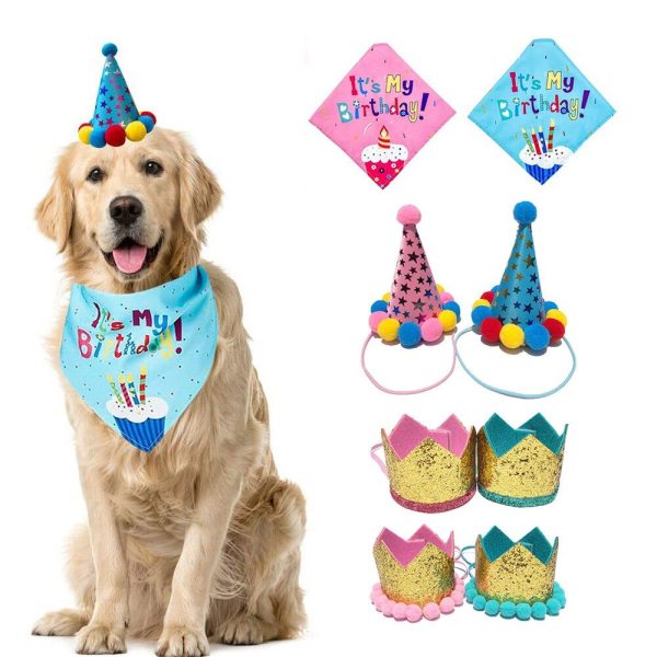 costume d'anniversaire pour chien