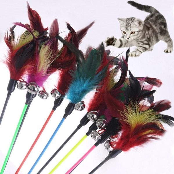 accessoire pour chat avec clochette