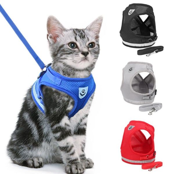 laisse pour chiot