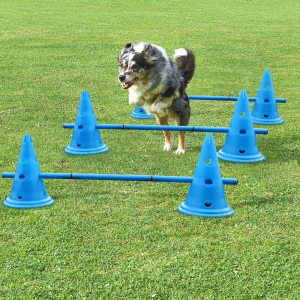 équipements d'agilité pour chien