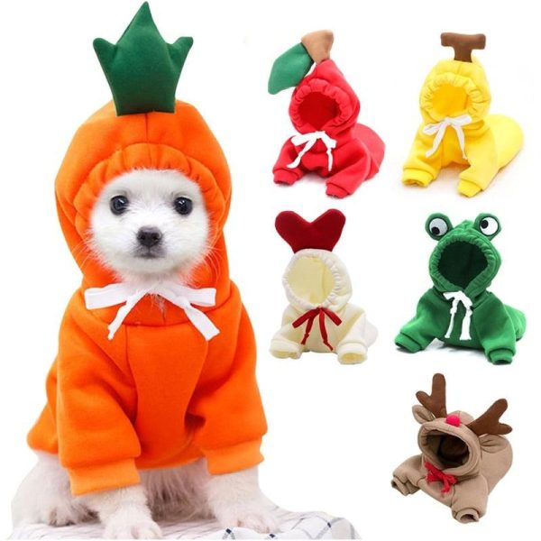 vêtements fruités mignons pour petits chiens